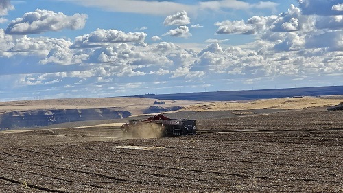 pottatoo harvest.jpg